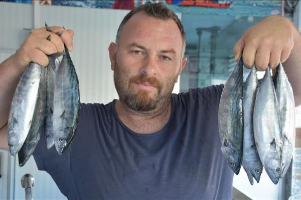 Sezonun ilk palamutları tezgahlardaki yerini aldı