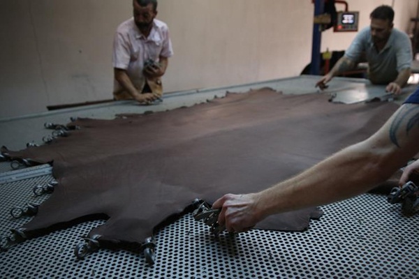 Şenocak: Heba olan kurban derilerinin sektöre maliyeti 20 milyon TL