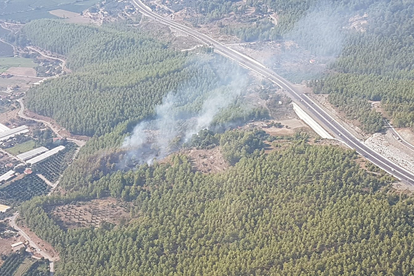 Muğla'da orman yangını