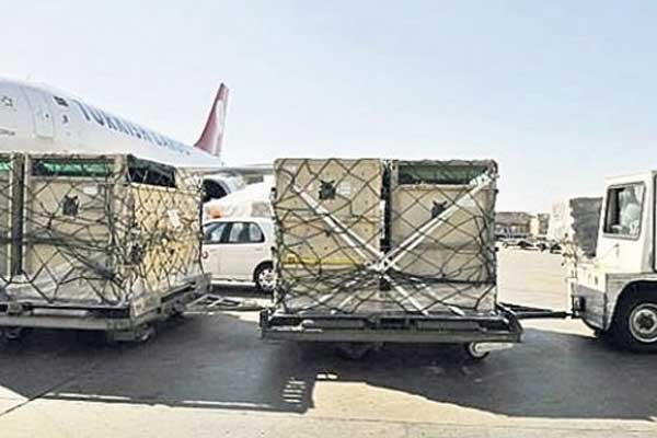 Atatürk Havalimanı’nda beş beyaz gergedan