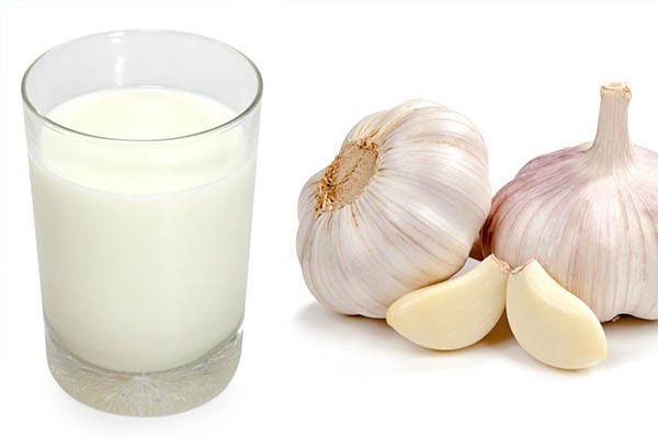 Sarımsağın az bilinen faydaları sütle tüketin…