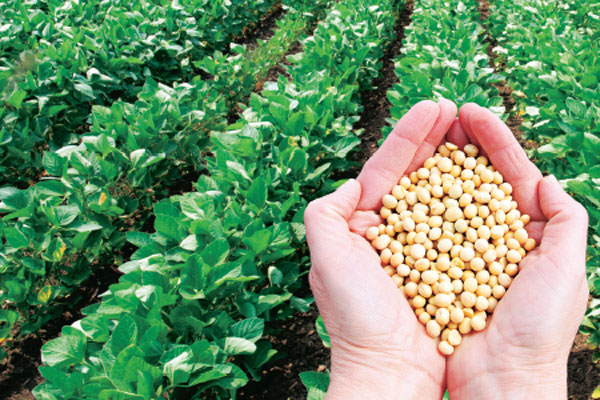 Yerli tohuma sanayi kentinden destek