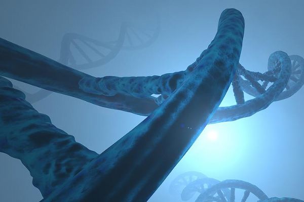 Bilim adamları otizme neden olan geni keşfetti