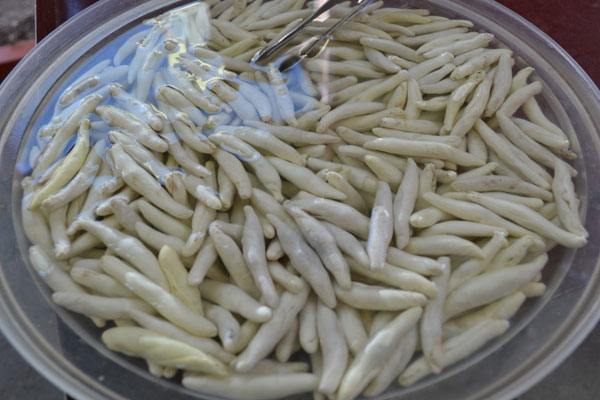 Faydalarıda fiyatıda şaşırtıyor… İşte o bitki