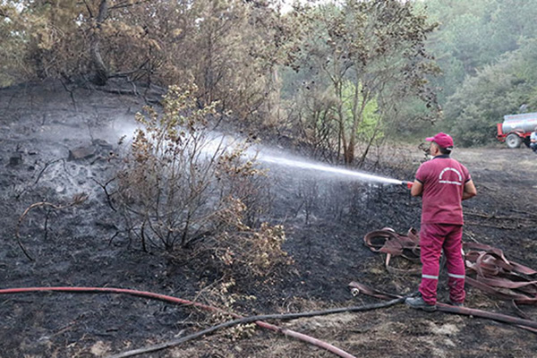 Bolu’da 2 hektarlık orman arazisi yangında zarar gördü