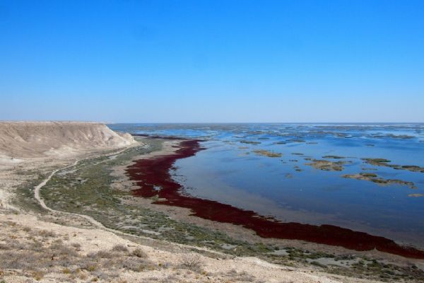 Kurumaya yüz tutan Aral Gölü için 5 ülke seferber oldu