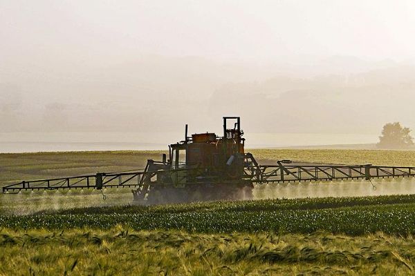 Sıcak hava zararlı böceklerin iştahını arttırıyor