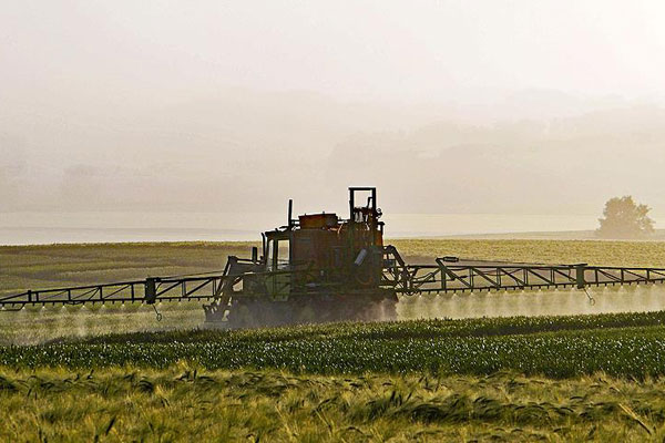 Sıcak hava zararlı böceklerin iştahını arttırıyor