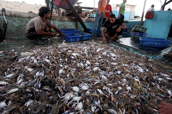 İşgalci İsrail Gazzeli balıkçıları gözaltına aldı