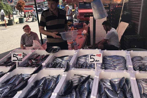 Palamudun tanesi 5 liraya geriledi