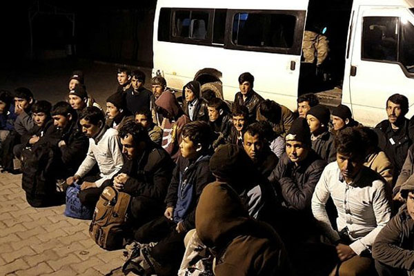 Van'da göçmen operasyonu:742 göçmen yakalandı