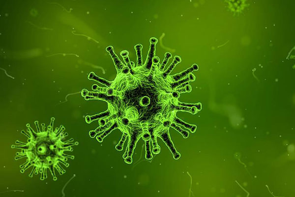 Bakteriyle savaşan yapay hücreler üretildi