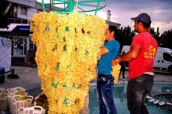 Üzüm Festivalinde dev salkım