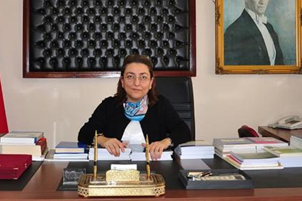 Türkiye Varlık Fonu Yönetimi üyeliğine atanan Erişah Arıcan kimdir?