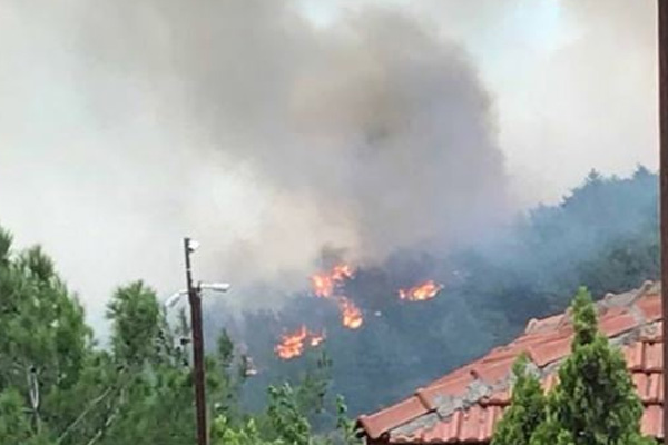 Hatay'daki orman yangını yerleşim bölgesini tehdit ediyor