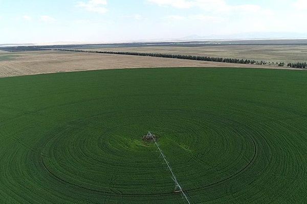 Hazine arazileri çiftçilere kiralanacak