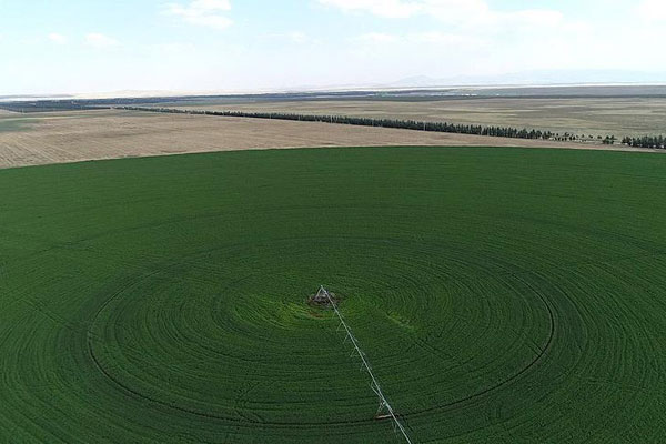 Çiftçiye sevindirici haber… O arazileri kiralayabilecekler