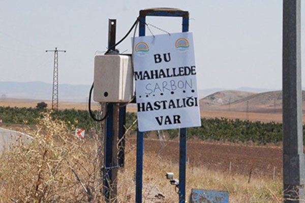 ‘Şarbon yüzünden bir çocuk öldü’