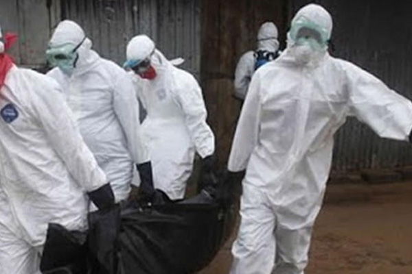 AB'de 'Afrika domuz vebası' alarmı