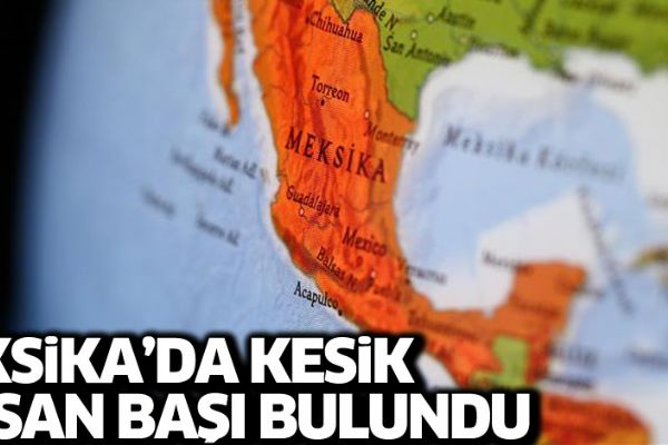 Yol kenarına bırakılan soğutucudan 5 kesik baş çıktı