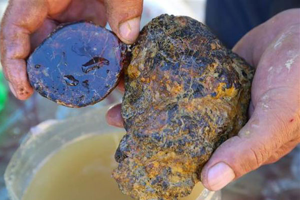 Yıllardır çıra diye yaktıkları maden 'doğal kehribar' çıktı