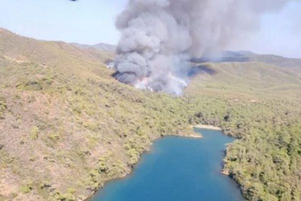 Marmaris'te orman yangını