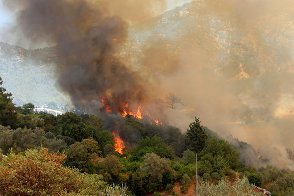 Antalya'da orman yangını