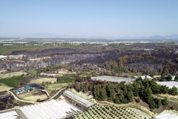 Antalya Kumluca’da orman yangını