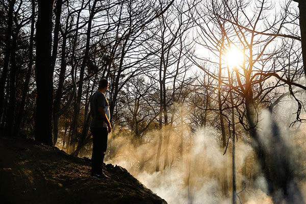 Antalya’daki orman yangınında kayıp büyük