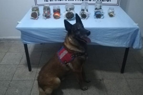 Kavanozda gömülü halde bulundu