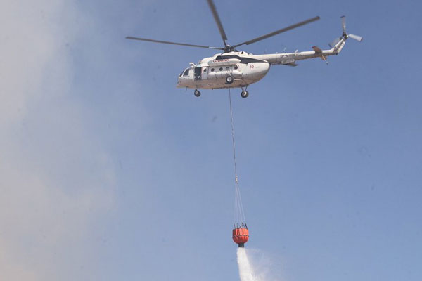 Ayvalık'ta korkutan yangın