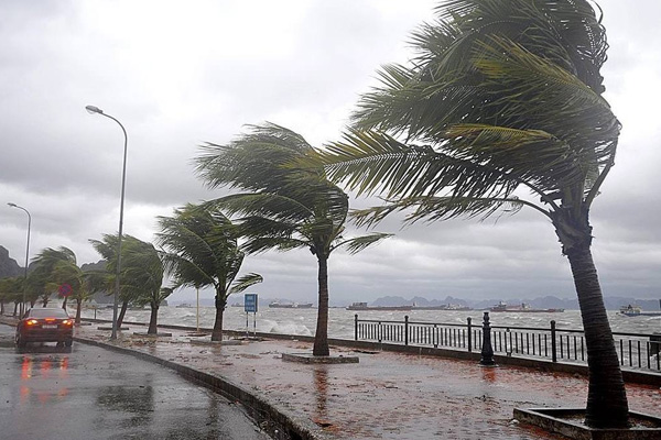 'Kestane karası fırtınası'yla soğuklar başlıyor