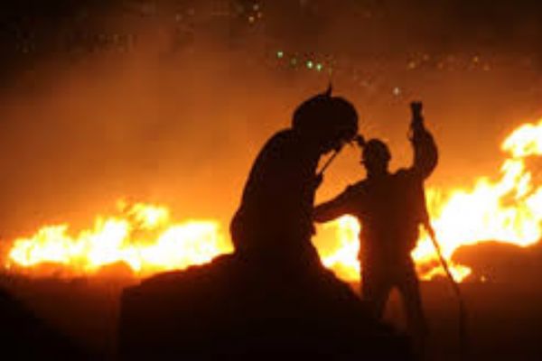 Bodruma makilik alanda yangın çıktı