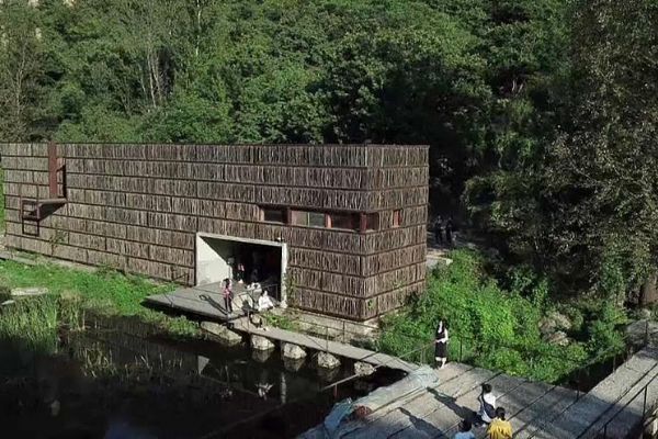 Doğanın içinde bir kütüphane