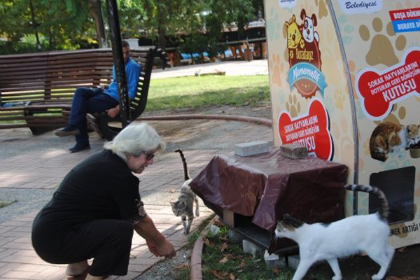 Plastik atıklar sokak hayvanlarına yuva oldu