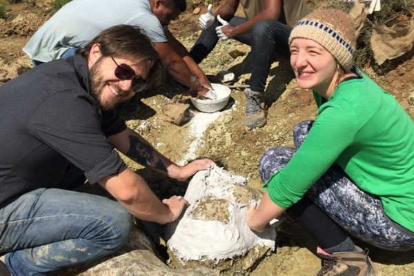 Güney Afrika'da yeni bir dinozor türü keşfedildi