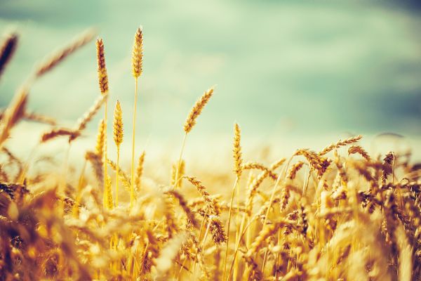 'Asıl kriz 2019'da yaşanacak'