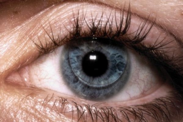 Türkiye'nin ilk lens fabrikasından 80 ülkeye ihraç