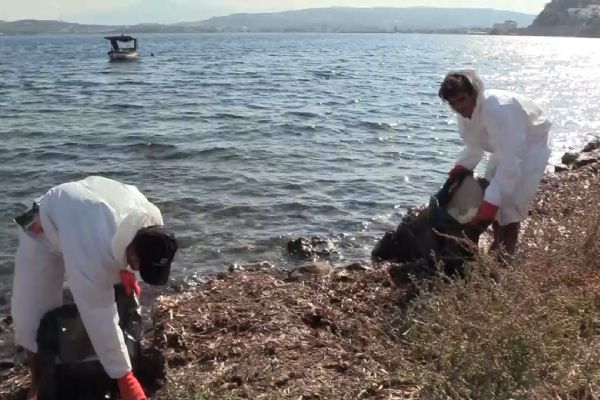 Foça’da tanker gemisinden denize sızan akaryakıt temizlendi