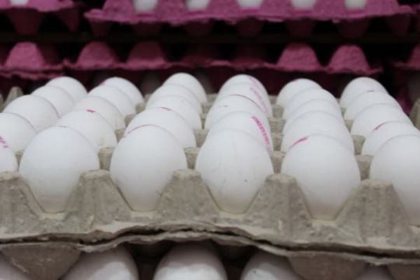 Yumurtada 1 aylık stok kaldı