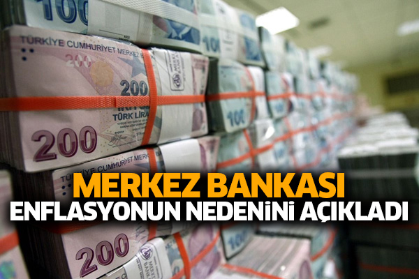 Merkez Bankası enflasyonun nedenini açıkladı