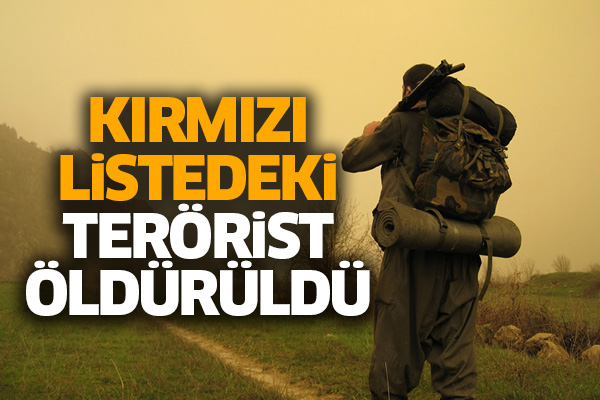 Kırmızı listedeki terörist öldürüldü