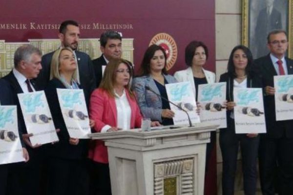 CHP'den hayvan halkarı kanun teklifi