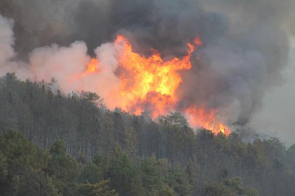Denizli’de orman yangını
