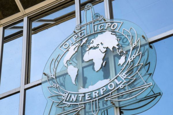 Interpol nedir?