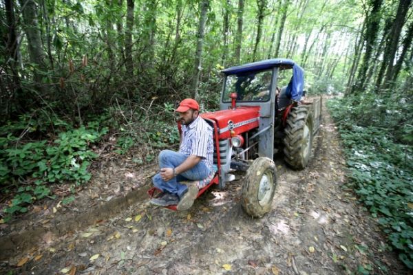 Karadeniz'in 'Dikenli Altını' Kestaneyi toplamak için zorlu yolculuk