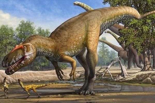 Milyonlarca yıllık dinozor yumurtası fosilleri bulundu