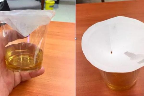 Mutfaktaki meyve sineklerinden kurtulmanın yolları nelerdir?