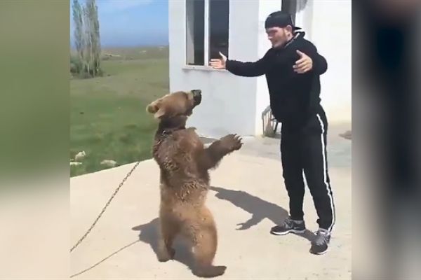 Müslüman boksör Nurmagomedov ayıyla güreşiyor