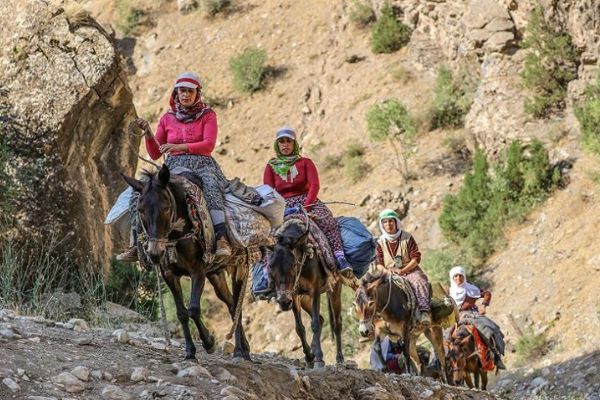 Berivanların zorlu yolculuğu